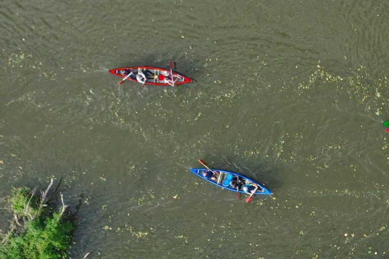 Zwei Kanus paddeln auf einem ruhigen Fluss mit grünem Ufer.