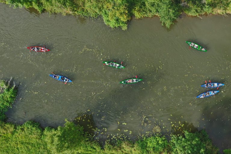 Mehrere Kanus treiben auf einem ruhigen Fluss, umgeben von üppigem Grün.