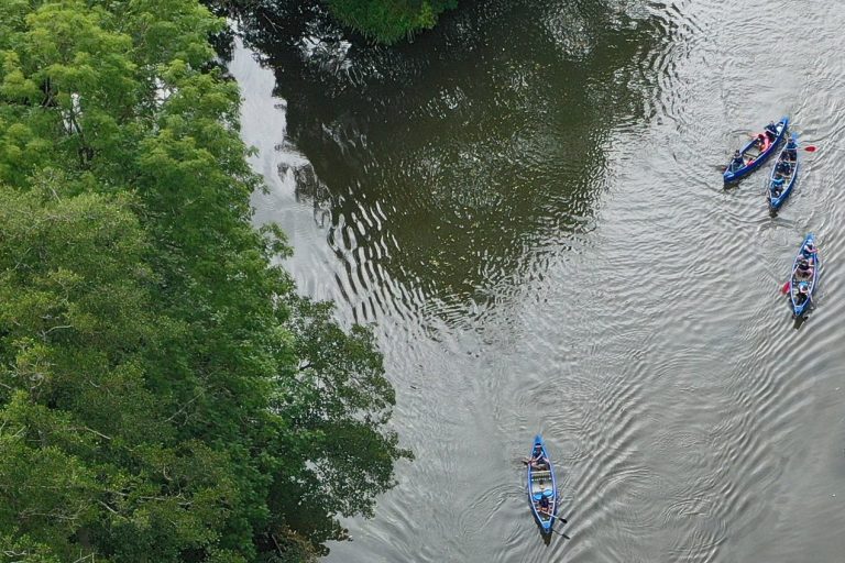 Kanufahrer auf einem ruhigen Fluss, umgeben von Grün.