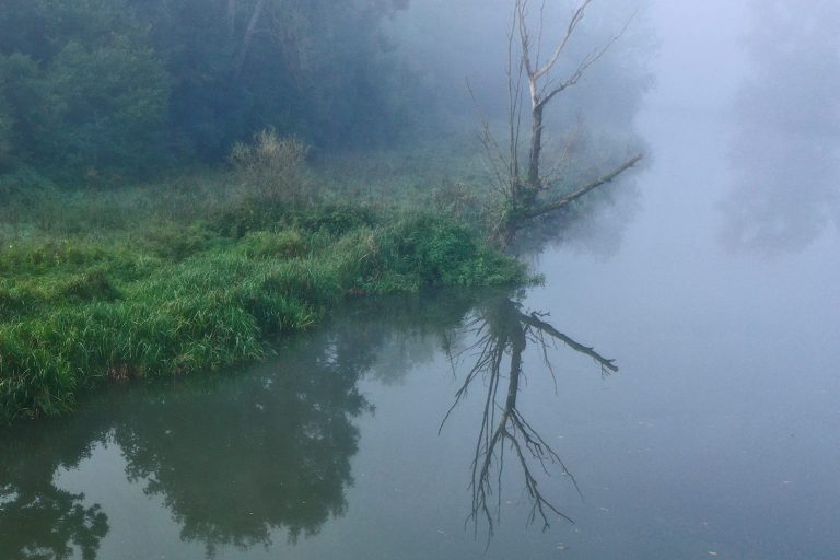 Stiller Fluss in nebliger Umgebung mit grünem Ufer und reflektierendem Baum.