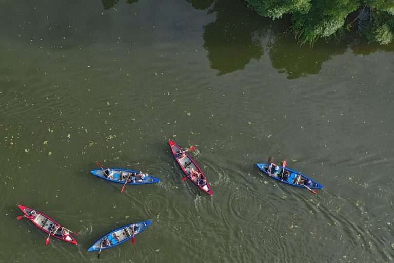 Fünf Kanus paddeln auf ruhigem Wasser, umgeben von grünem Uferbewuchs.